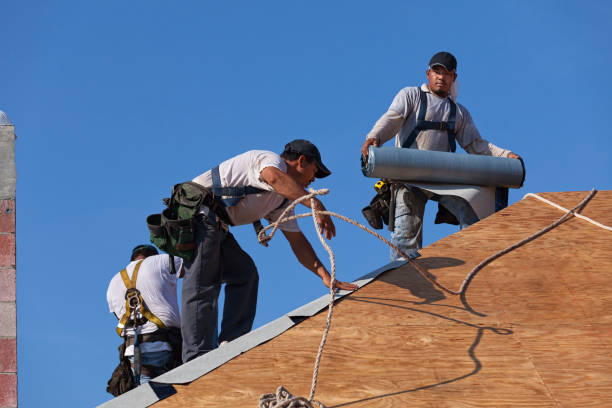 Best Storm Damage Roof Repair  in Kalkaska, MI